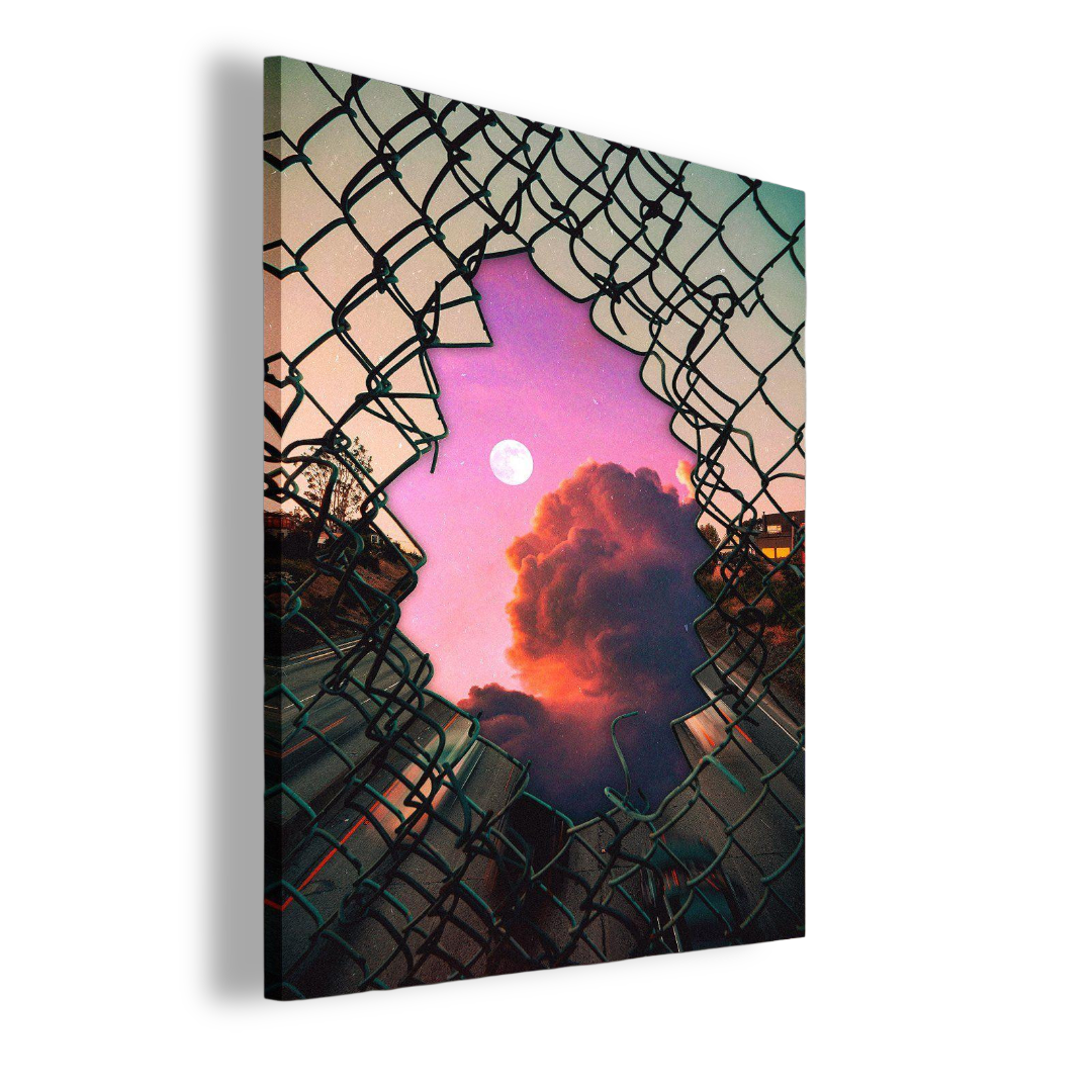 The Other Side of the Fence Premium Art